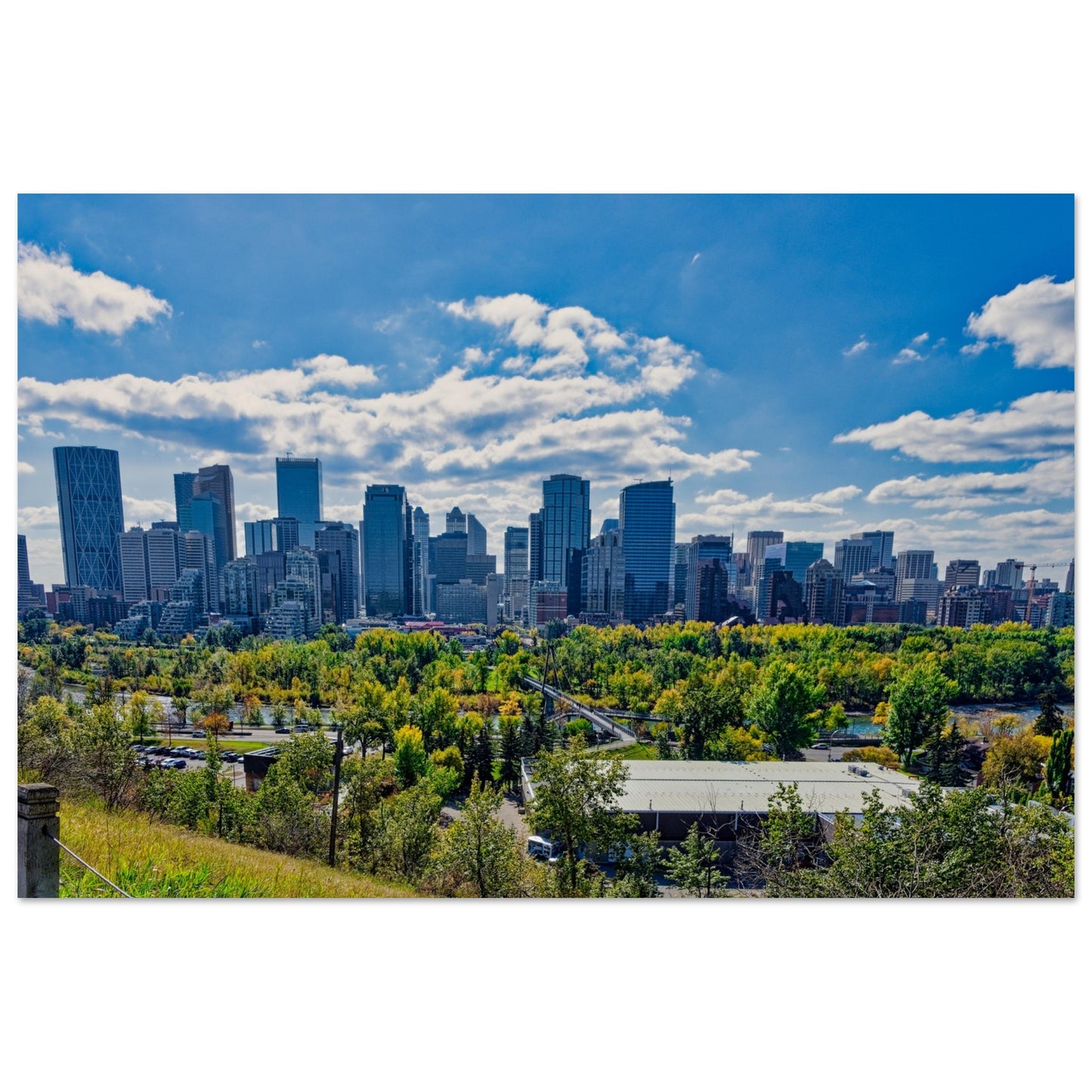 Foam Print - Downtown Calgary McHugh Bluff Fall