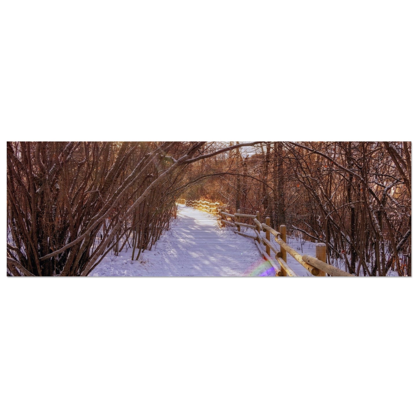 672b2d56-38f5-47a4-a8d7-bb51120767ce