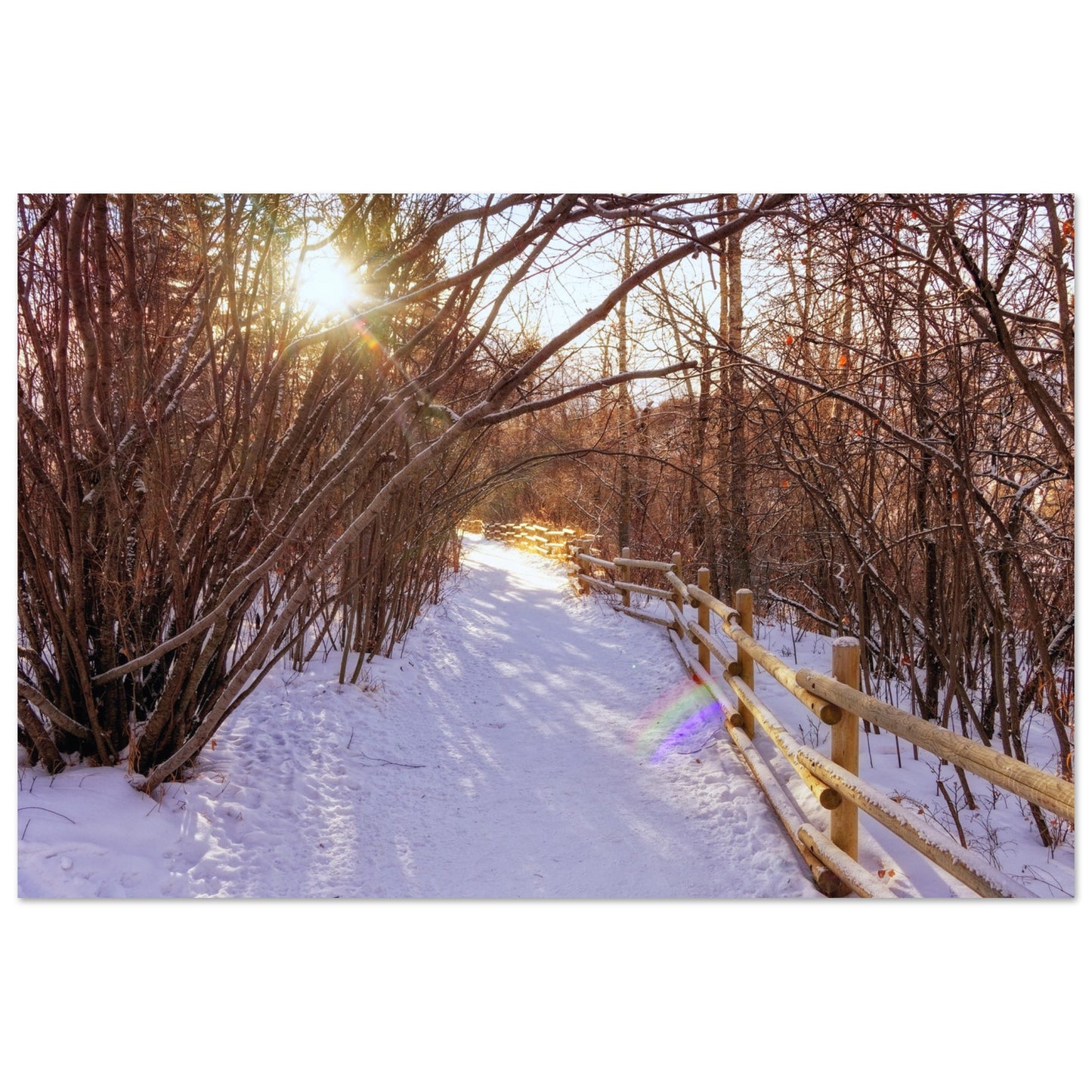 67892522-f454-43cd-8640-d15c9719ce34