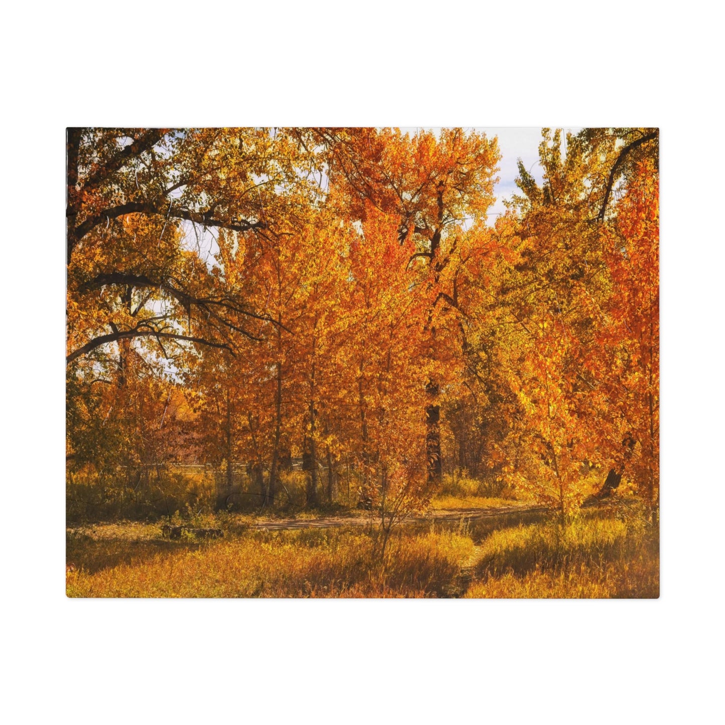 Jigsaw Puzzle (30, 110, 252, 500,1000-Piece) - Sue Higgins Park Fall Trees