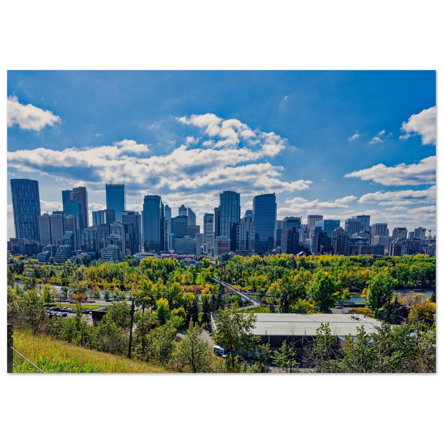 Premium Semi-Glossy Poster Print - Downtown Calgary McHugh Bluff Fall
