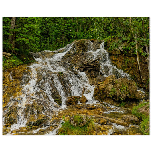 6a2a0253-6105-454b-b2e7-d76836b190ea