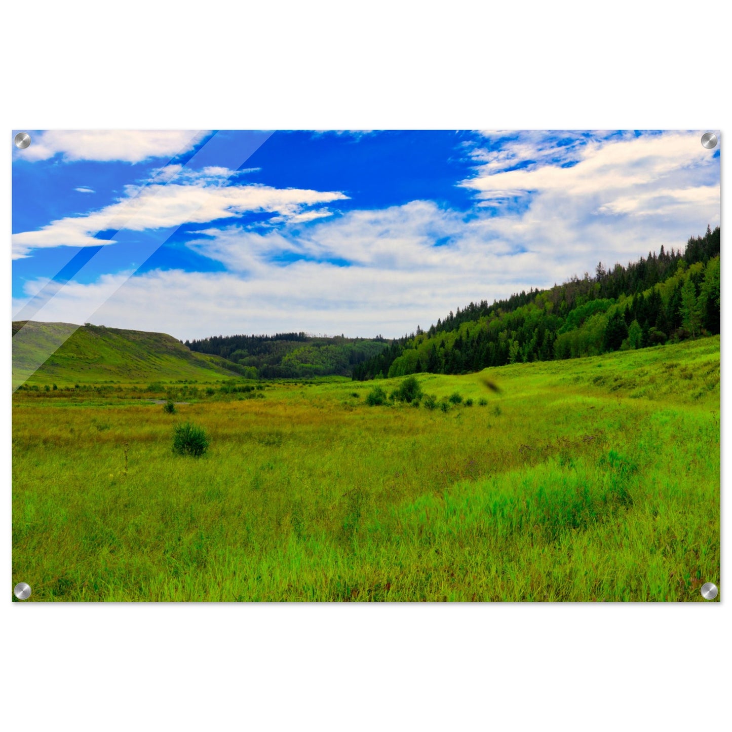 70c84ab7-a9fb-41f1-8ad4-90bdf0398a3c