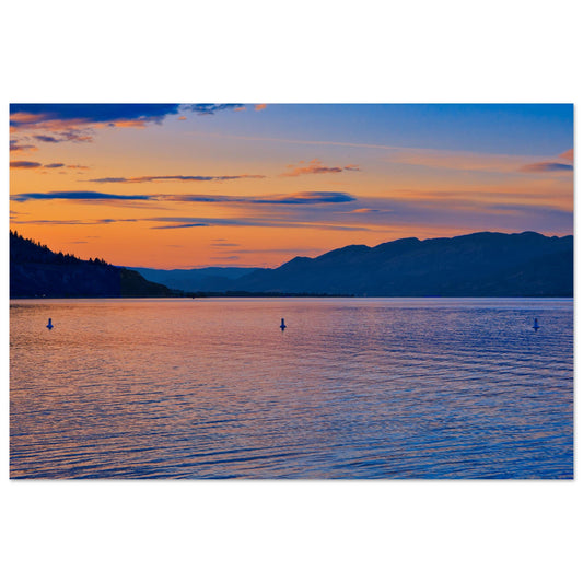 70cebb60-3171-48ab-9e55-51d03a2f7103