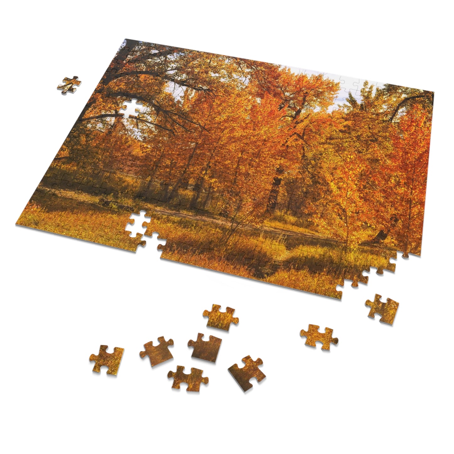 Jigsaw Puzzle (30, 110, 252, 500,1000-Piece) - Sue Higgins Park Fall Trees