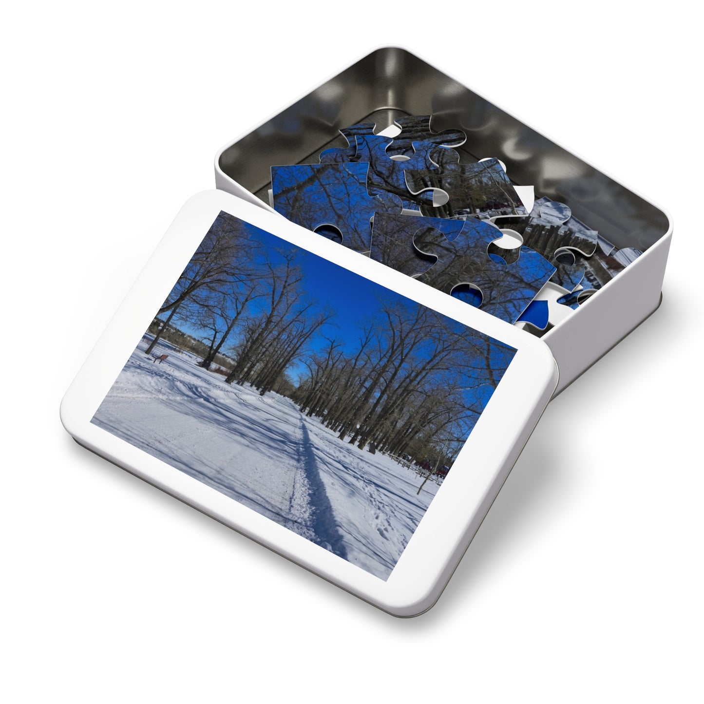 Jigsaw Puzzle (30, 110, 252, 500,1000-Piece) - Bowness Park Pathway Winter