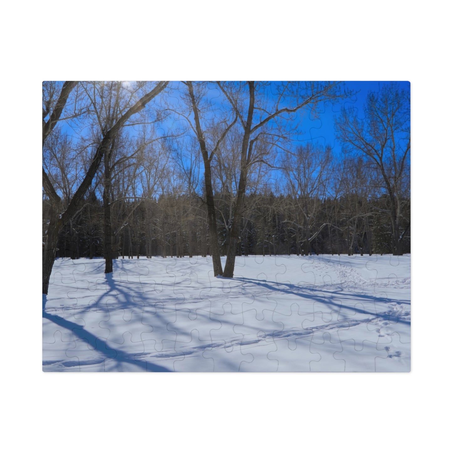 Jigsaw Puzzle (30, 110, 252, 500,1000-Piece) - Bowness Park Field Winter