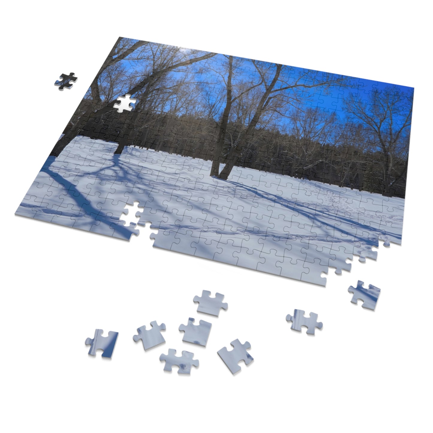 Jigsaw Puzzle (30, 110, 252, 500,1000-Piece) - Bowness Park Field Winter