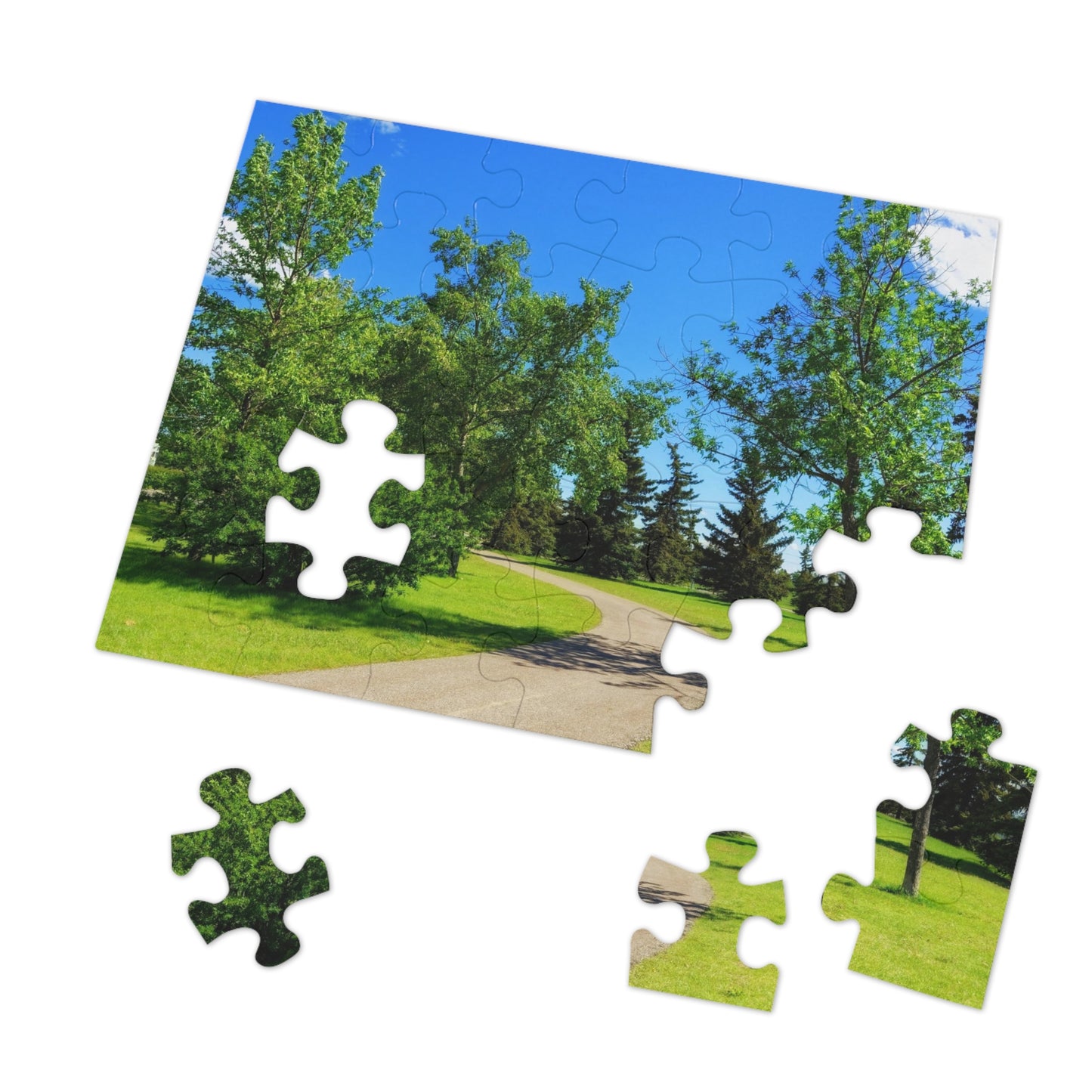 Jigsaw Puzzle (30, 110, 252, 500,1000-Piece) - Calgary in the Summer