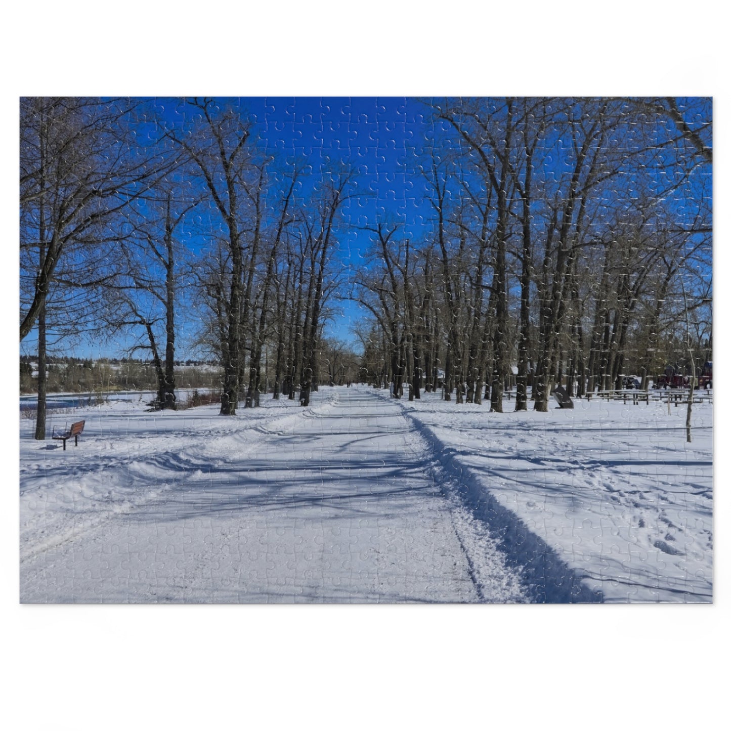 Jigsaw Puzzle (30, 110, 252, 500,1000-Piece) - Bowness Park Pathway Winter