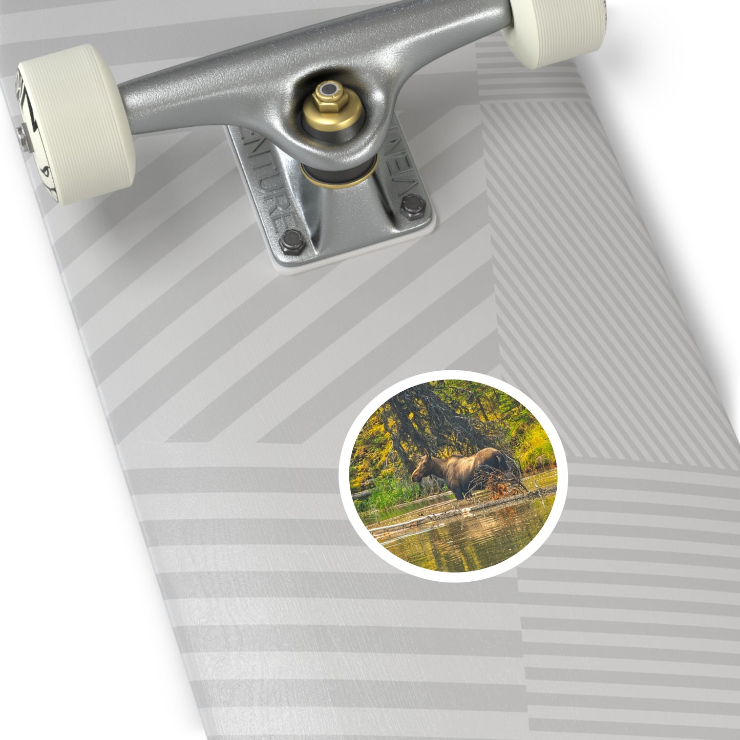 Round Stickers - Jasper National Park Moose Lake Moose