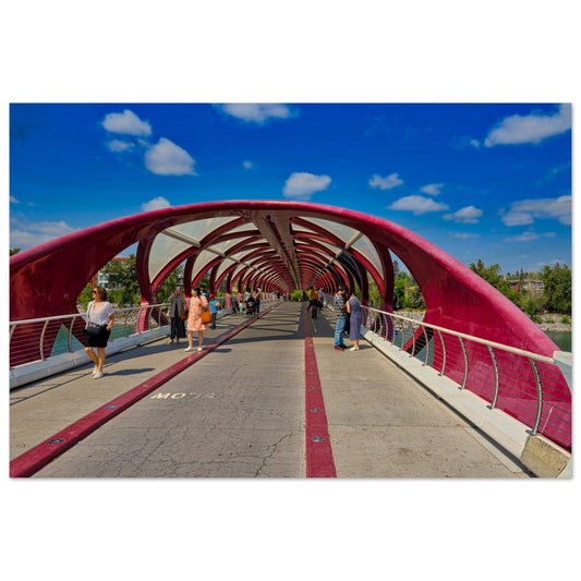 769bcfca-9a41-4003-9eaf-023d2d5b8cd3