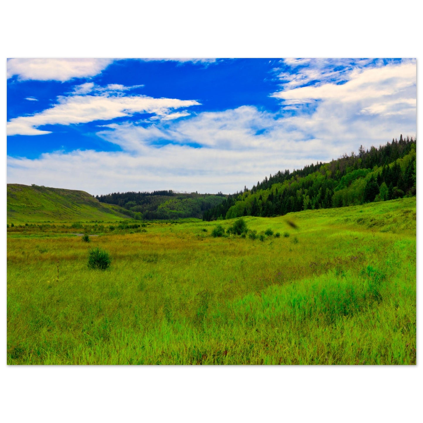 76a64223-b8b0-4b61-8c5a-980c2e539897