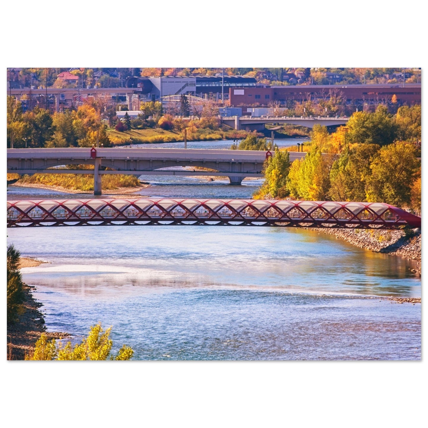 Premium Semi-Glossy Poster Print - Peace Bridge McHugh Bluff