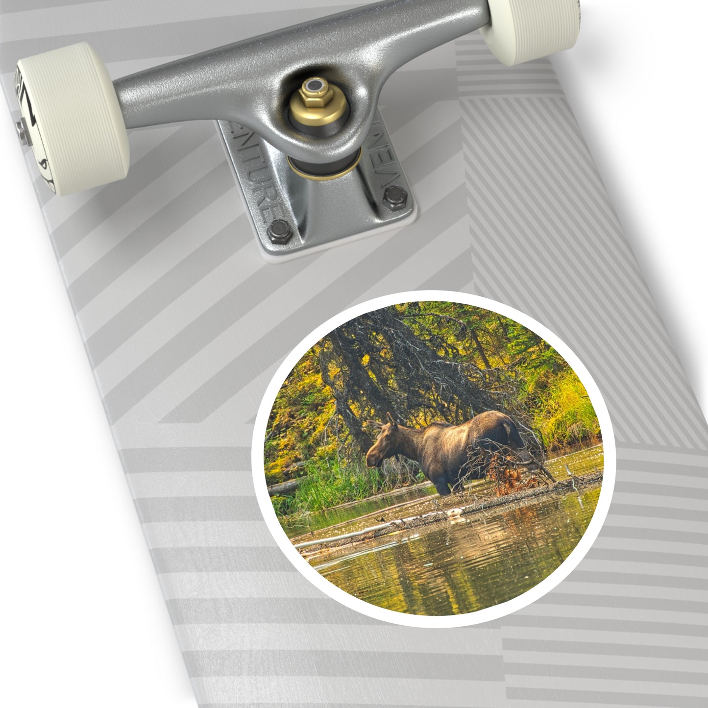 Round Stickers - Jasper National Park Moose Lake Moose