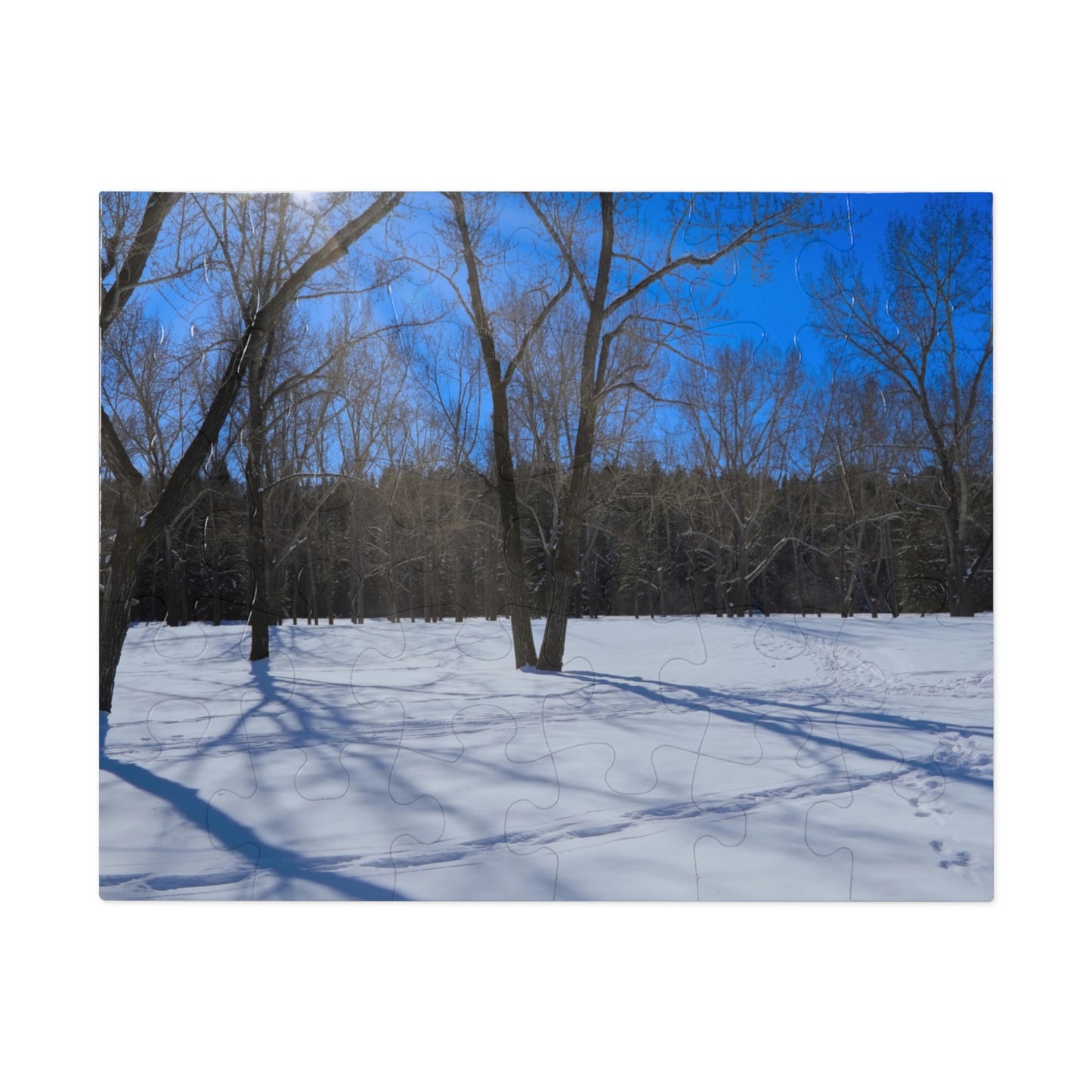Jigsaw Puzzle (30, 110, 252, 500,1000-Piece) - Bowness Park Field Winter