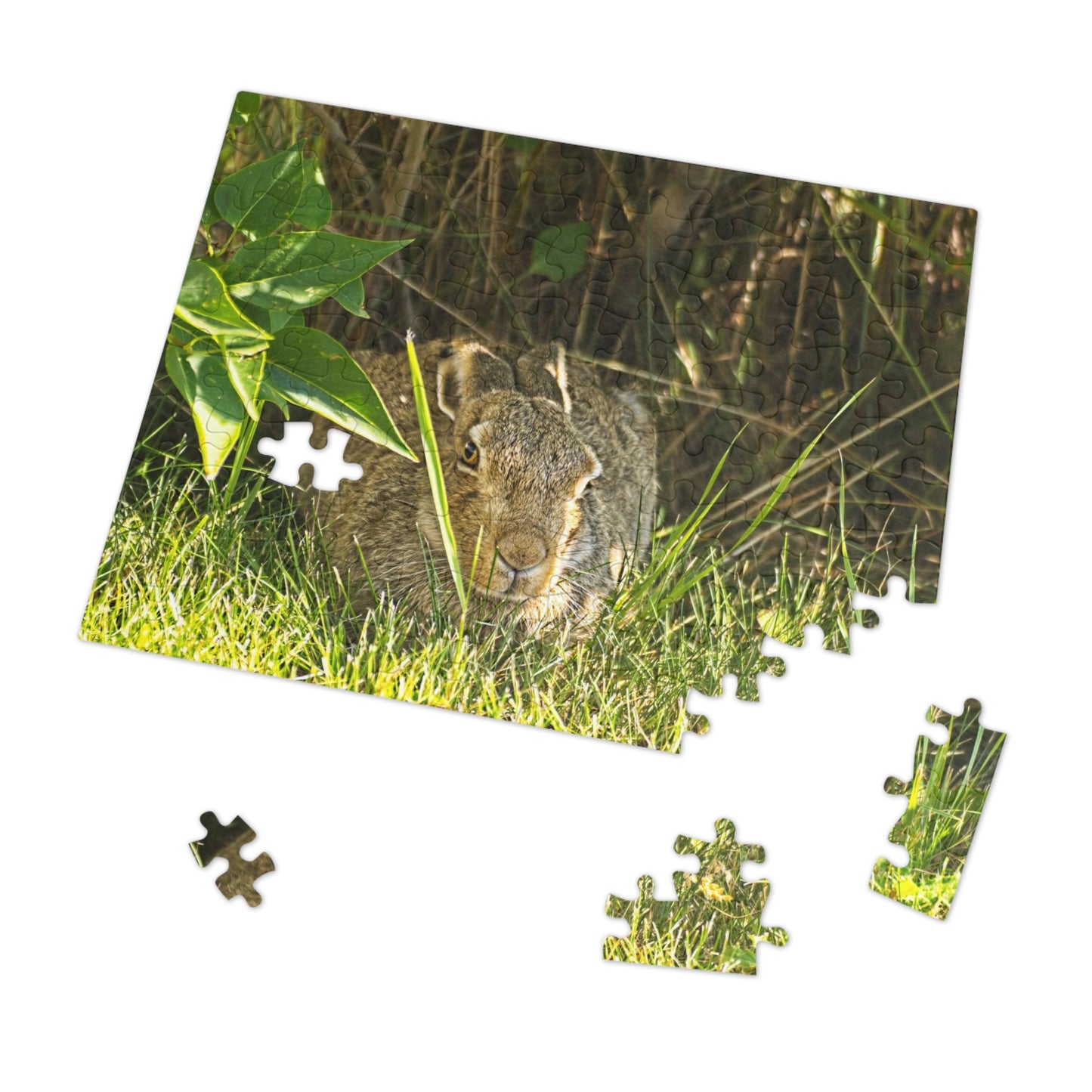 Jigsaw Puzzle (30, 110, 252, 500,1000-Piece) - Rabbit