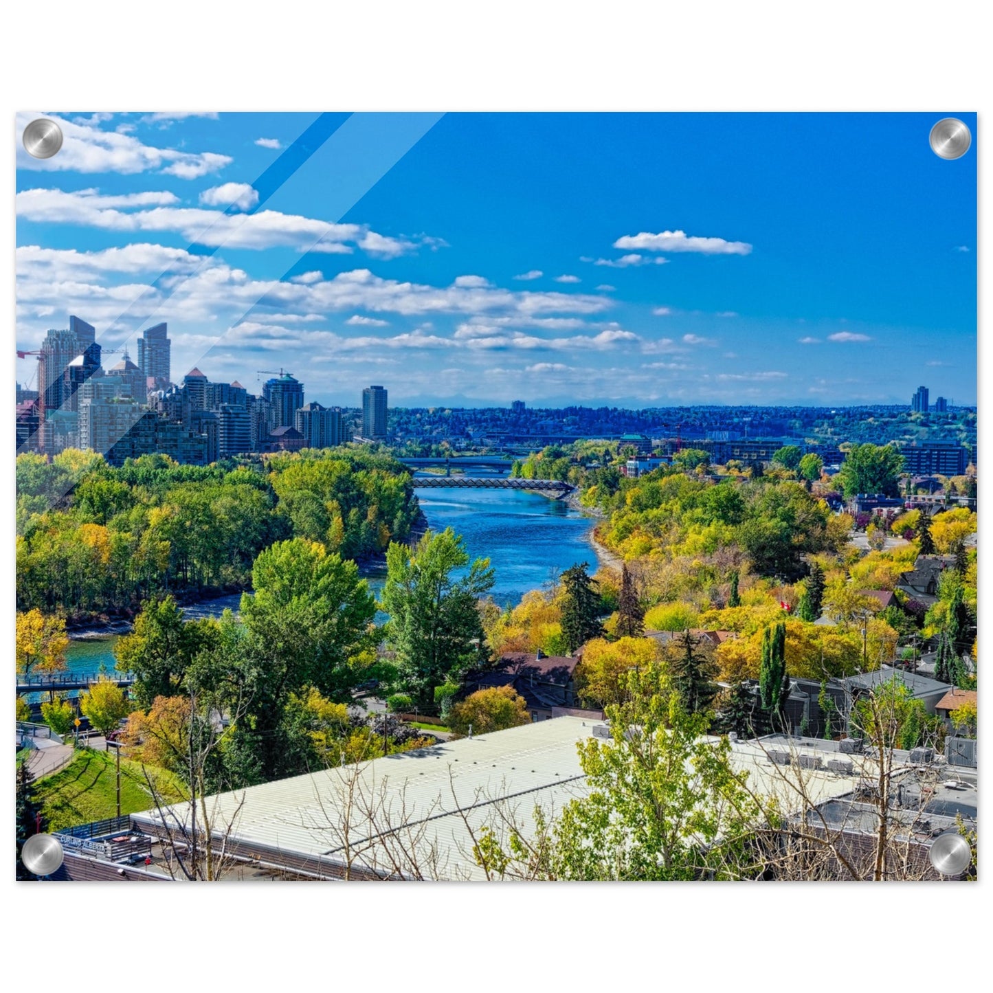 Acrylic Print - Bow River Peace Bridge McHugh Bluff HDR