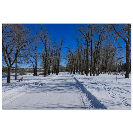 80faf54a-8cf3-4395-8db1-5b473f575b56