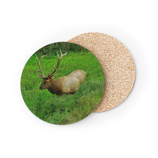 Coasters - Miette River Elk