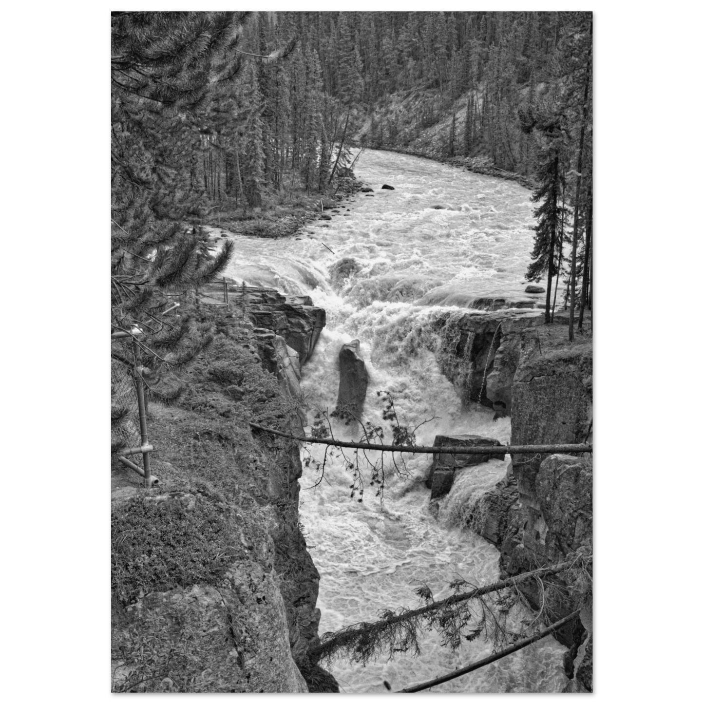 8287c30c-7116-41d8-a700-6364aa2bdb46