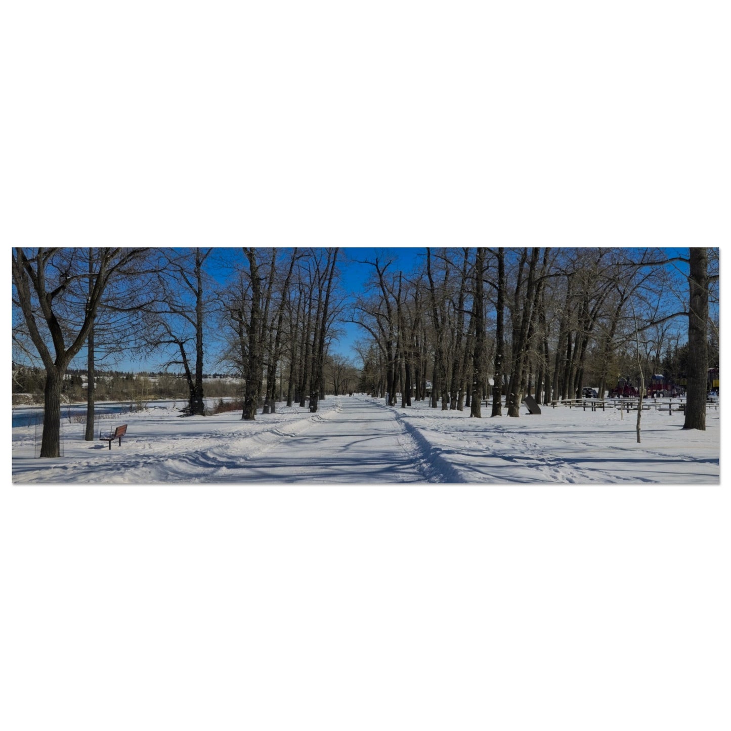 828b0e09-7942-4373-8bf1-7a1ca6668223