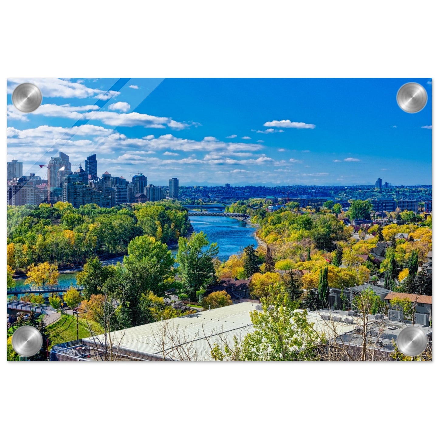 Acrylic Print - Bow River Peace Bridge McHugh Bluff HDR