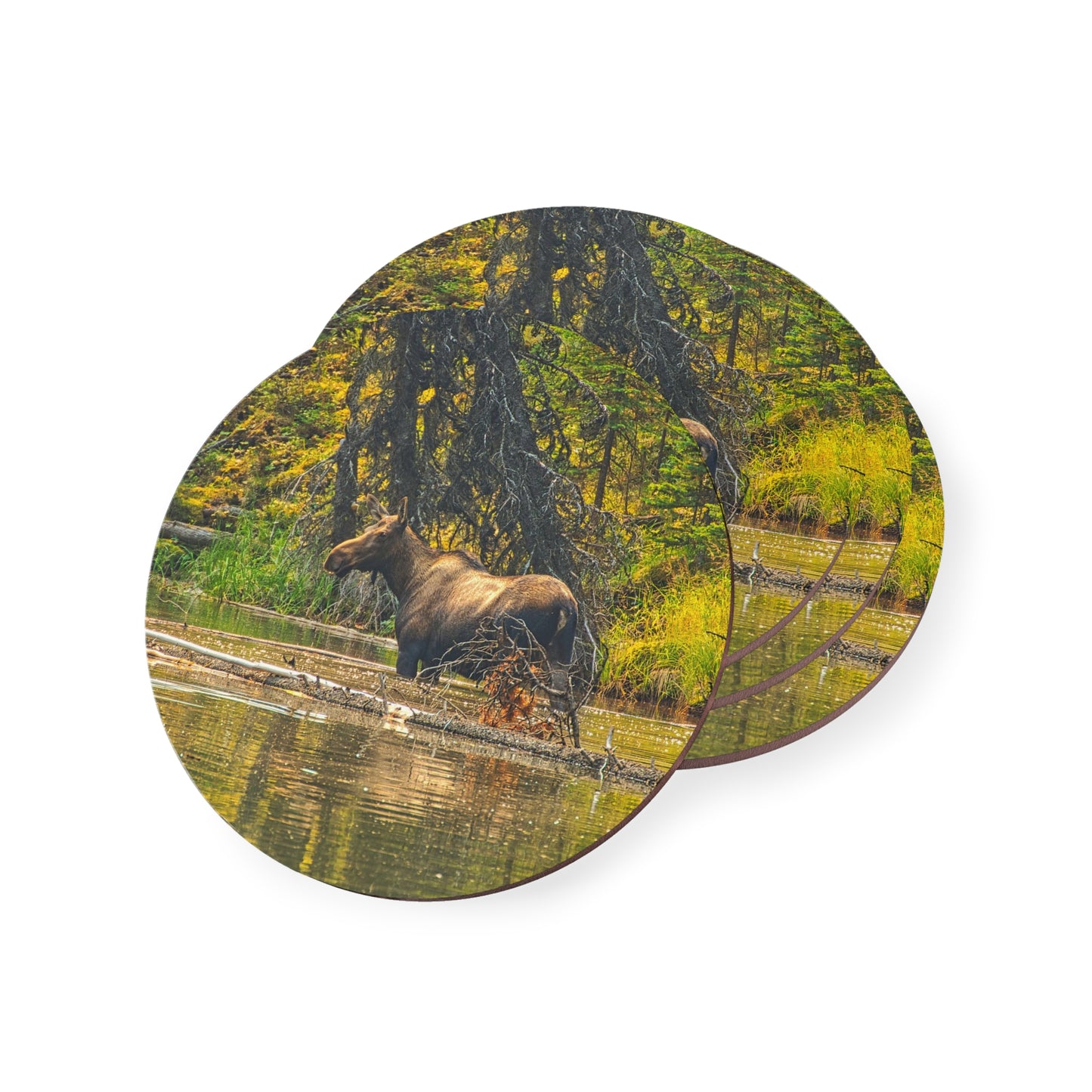 Coasters - Moose Lake Moose