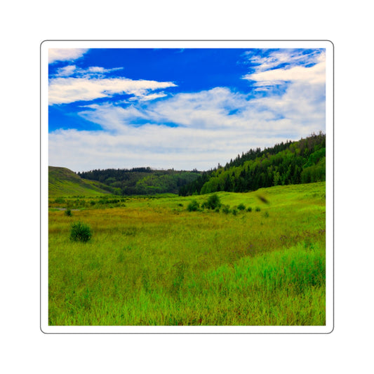 Square Stickers - Big Hill Springs Park Entrance