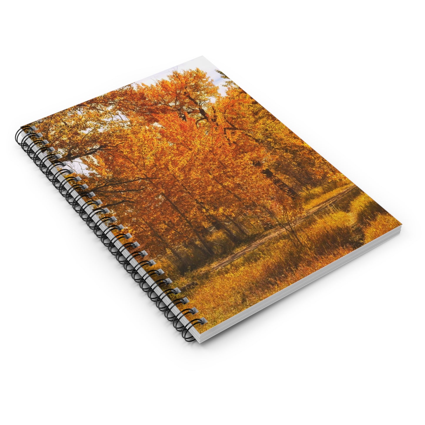 Ruled Line Spiral Notebook - Sue Higgins Park Fall Trees
