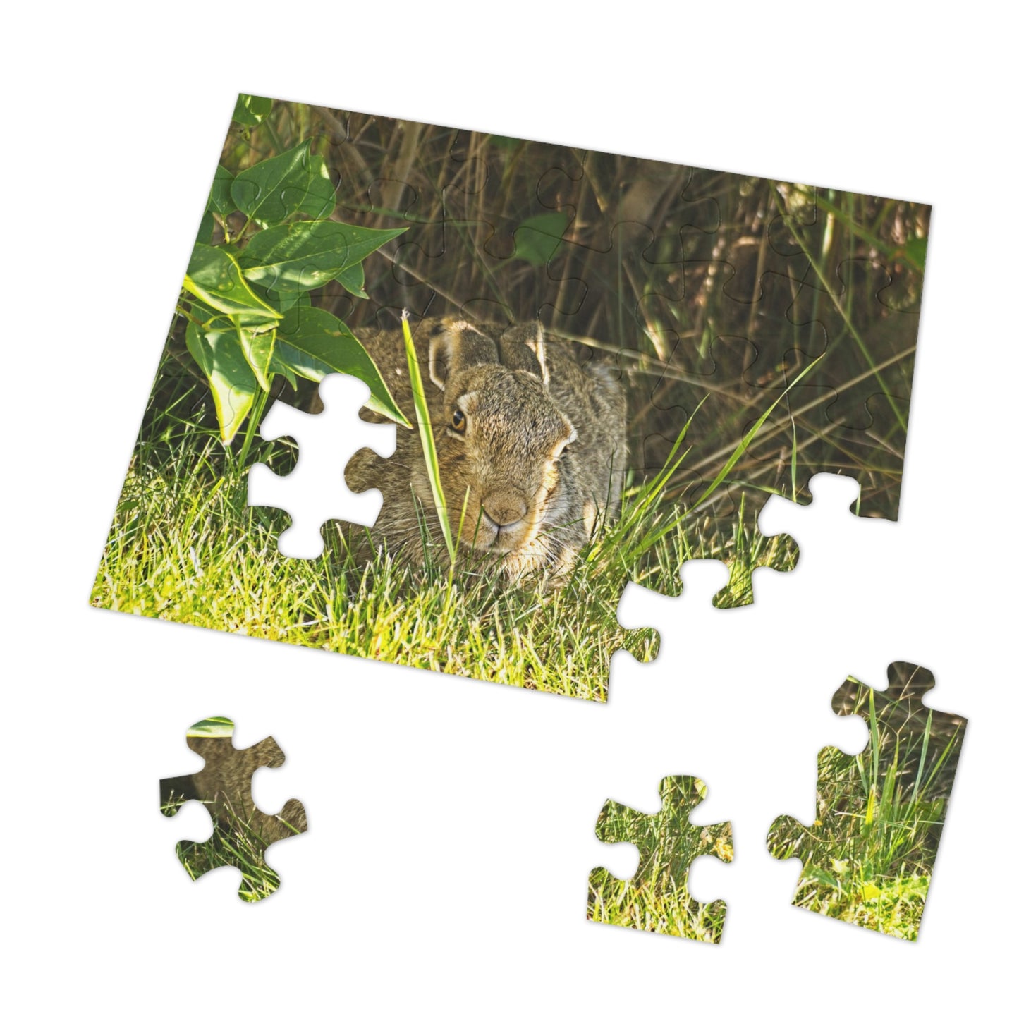 Jigsaw Puzzle (30, 110, 252, 500,1000-Piece) - Rabbit