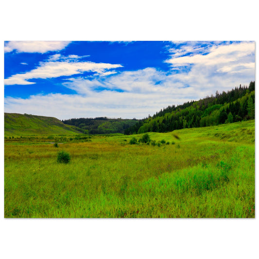 892ce67d-6b48-4e07-9ea1-3c7c454b6561