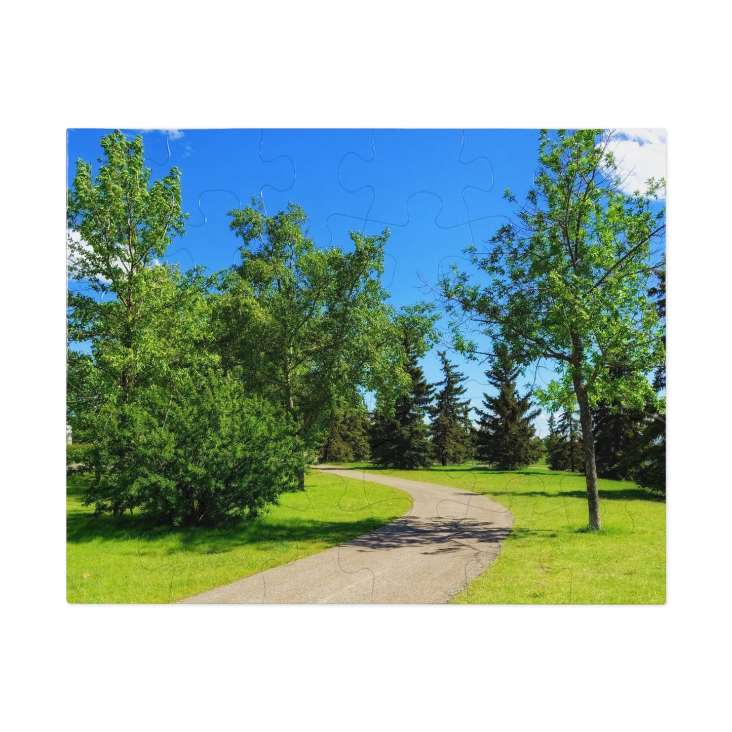 Jigsaw Puzzle (30, 110, 252, 500,1000-Piece) - Calgary in the Summer