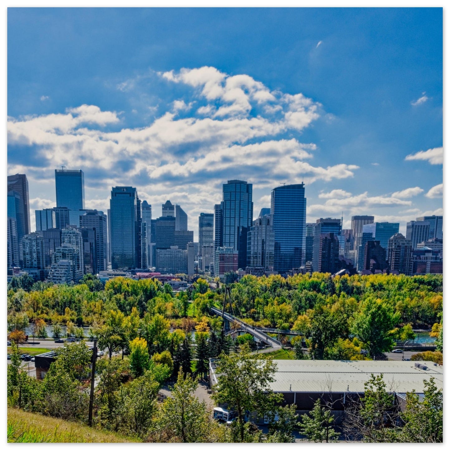 Premium Semi-Glossy Poster Print - Downtown Calgary McHugh Bluff Fall