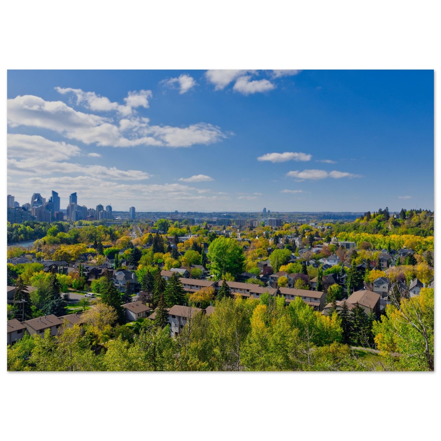 Premium Semi-Glossy Poster Print - McHugh Bluff Fall