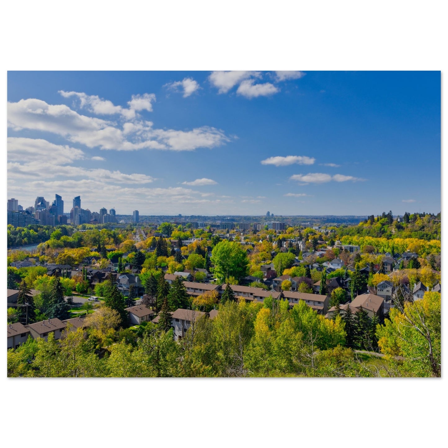 Premium Semi-Glossy Poster Print - McHugh Bluff Fall