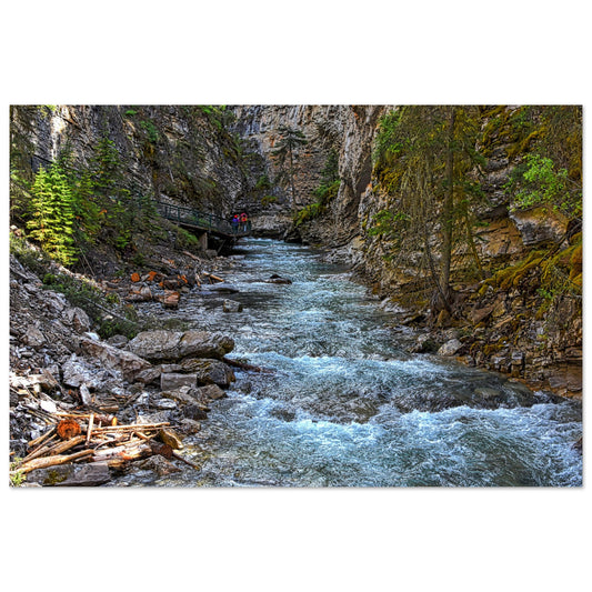 8dbad8dd-d7c8-4f4c-beaf-596373ad68f0