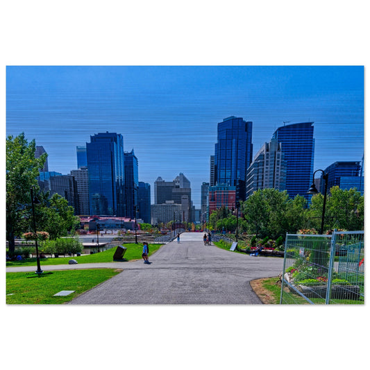 8ef1058c-3162-465d-95be-69d798645d20