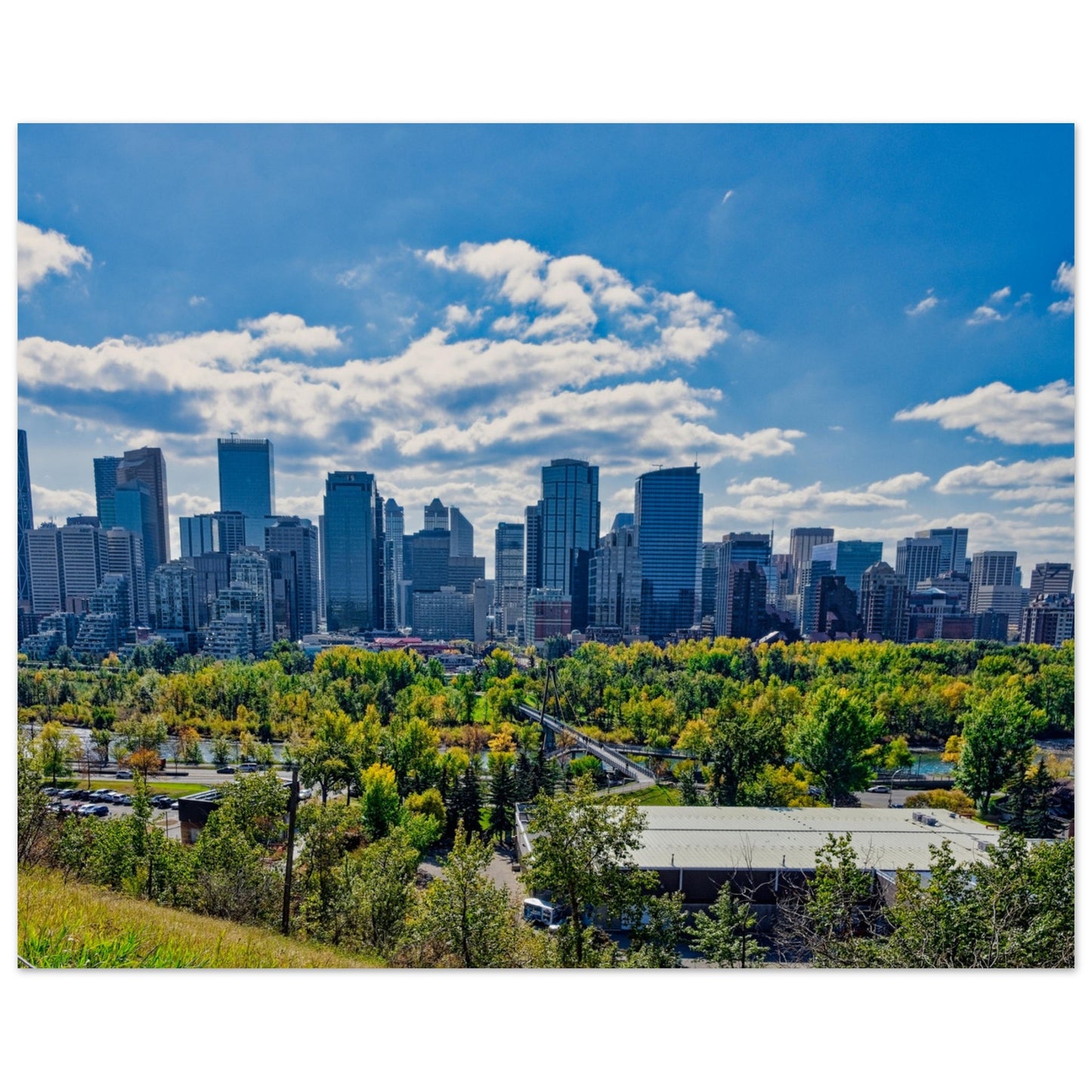 Premium Semi-Glossy Poster Print - Downtown Calgary McHugh Bluff Fall