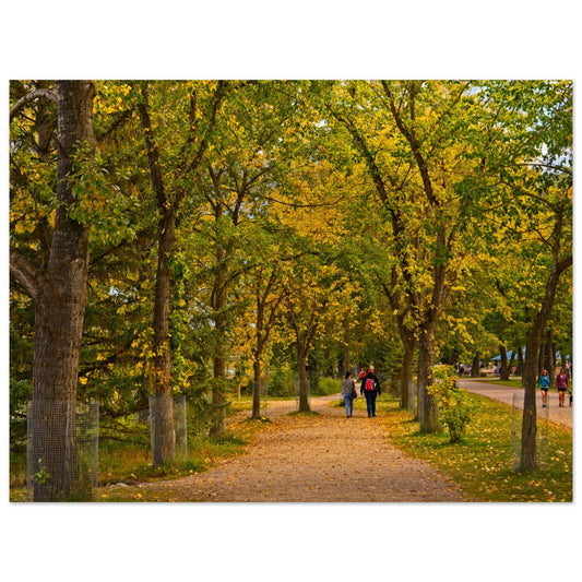 9065a4e9-8388-410f-8c76-fc63b21c5d76