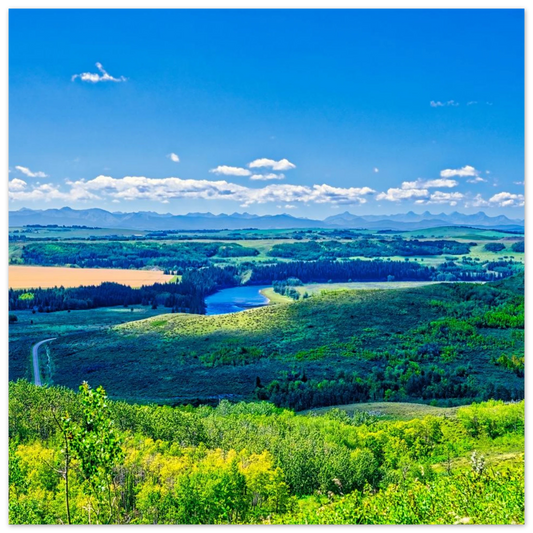 90e0b4fc-44c6-4669-9f92-d040e52e75bb