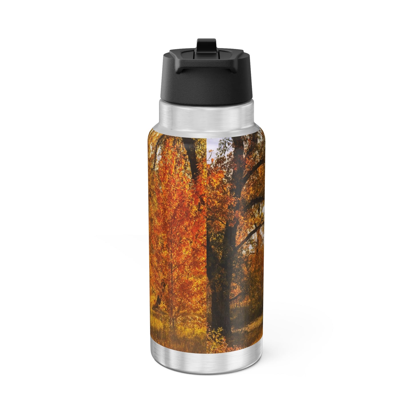 Gator Tumbler, 32oz - Sue Higgins Park Fall Trees