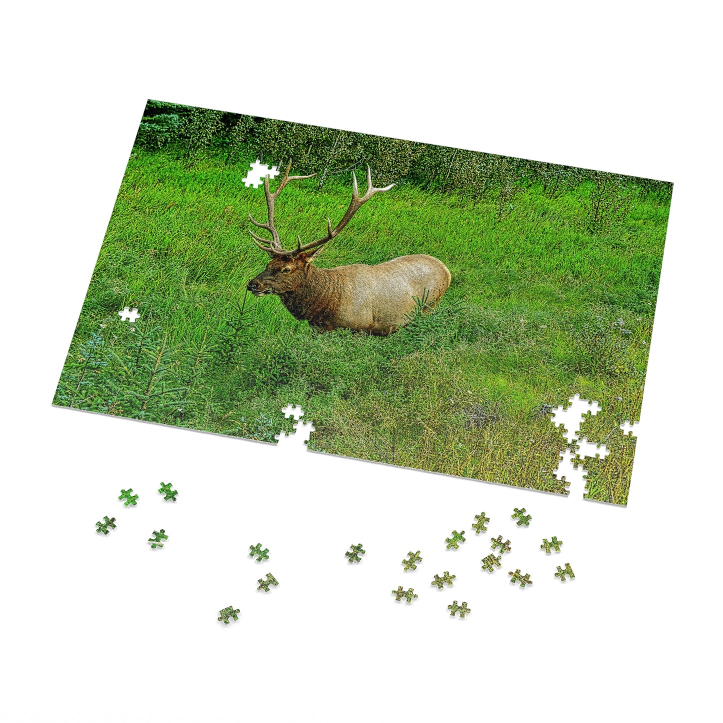 Jigsaw Puzzle (30, 110, 252, 500,1000-Piece) - Jasper National Park Elk