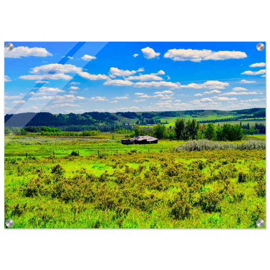 920984fd-9d37-482c-9aaa-e2e946863369