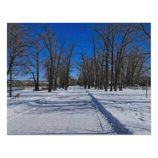Jigsaw Puzzle (30, 110, 252, 500,1000-Piece) - Bowness Park Pathway Winter