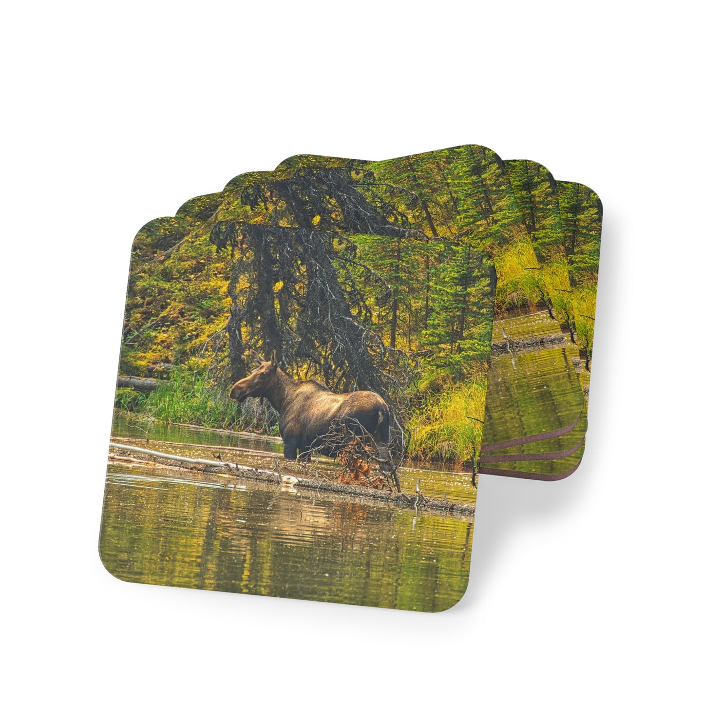 Coasters - Moose Lake Moose
