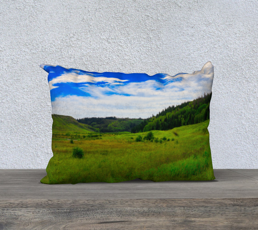 20x14 Pillow Case - Big Hill Springs Park Entrance