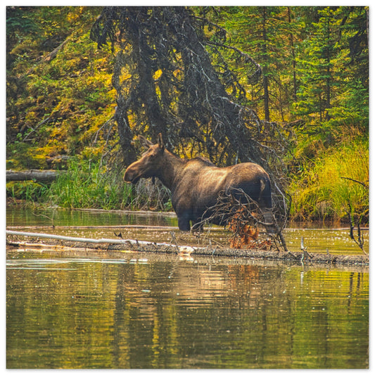 93d6446a-a6c0-4fc1-a7fc-fff78d2e6e09