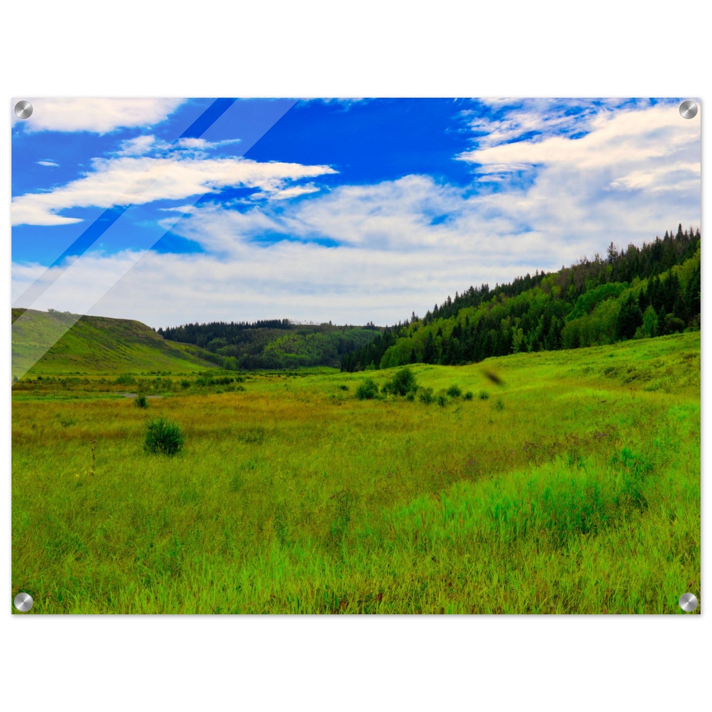 951326fd-d055-42d3-b894-7888f79c98c4