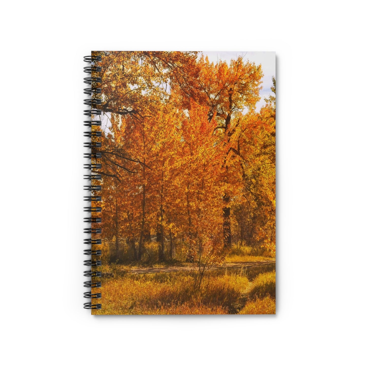 Ruled Line Spiral Notebook - Sue Higgins Park Fall Trees